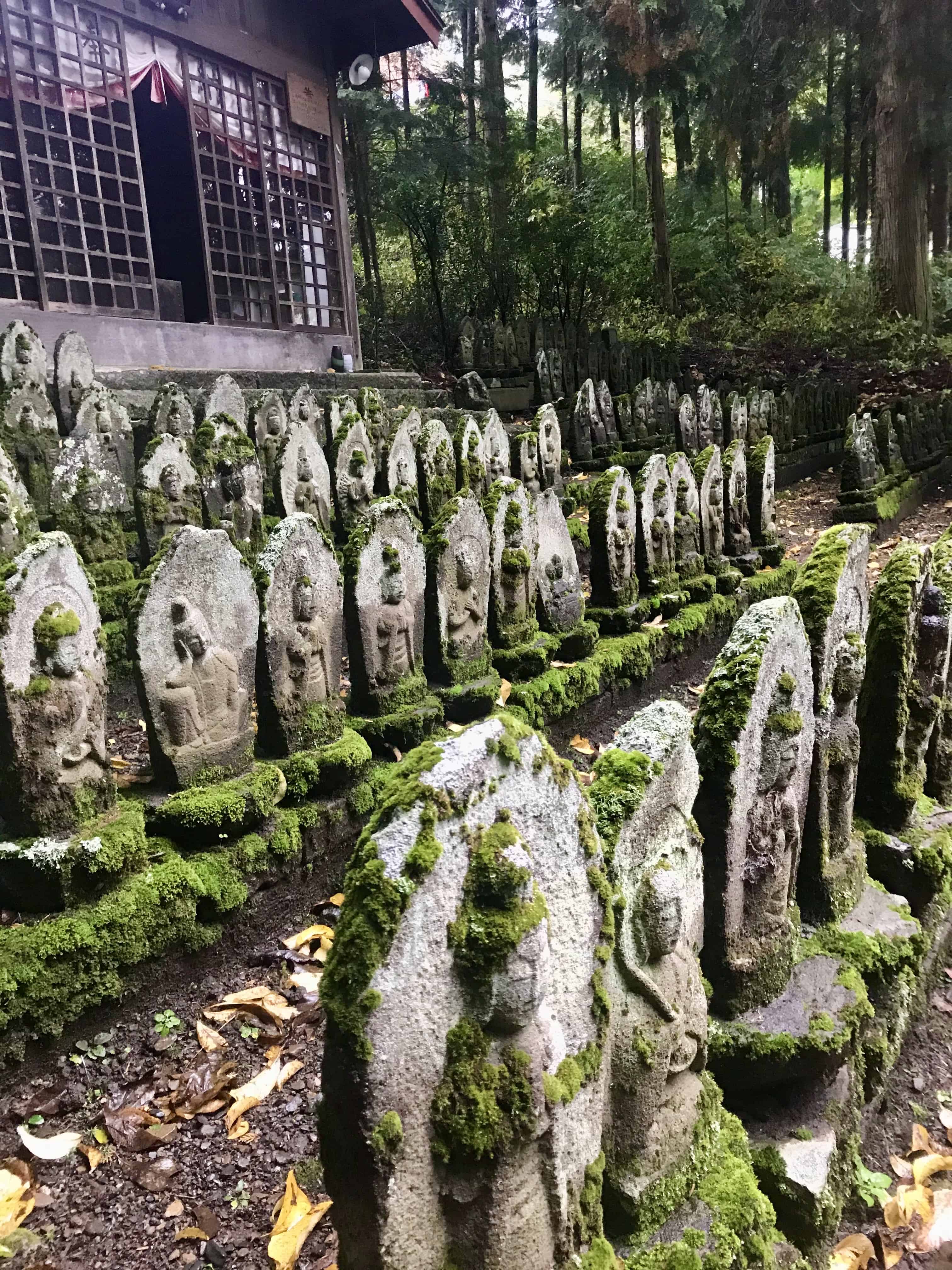 Jizo statues, partially covered in moss, lined up in rows in front of a wooden shrine.