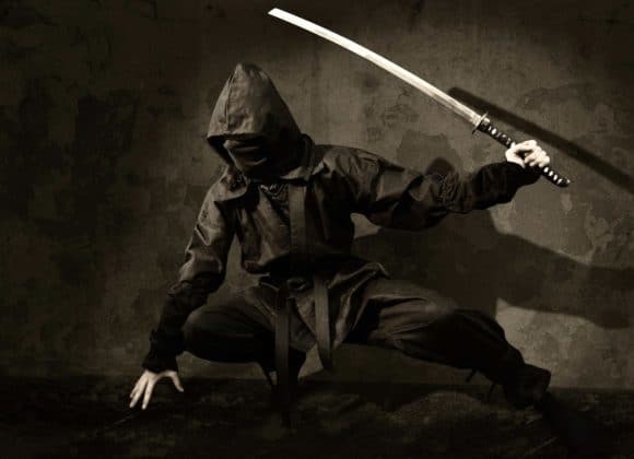 Ninja crouching