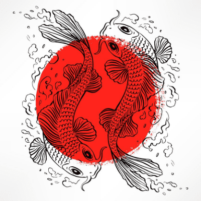 Japanese koi