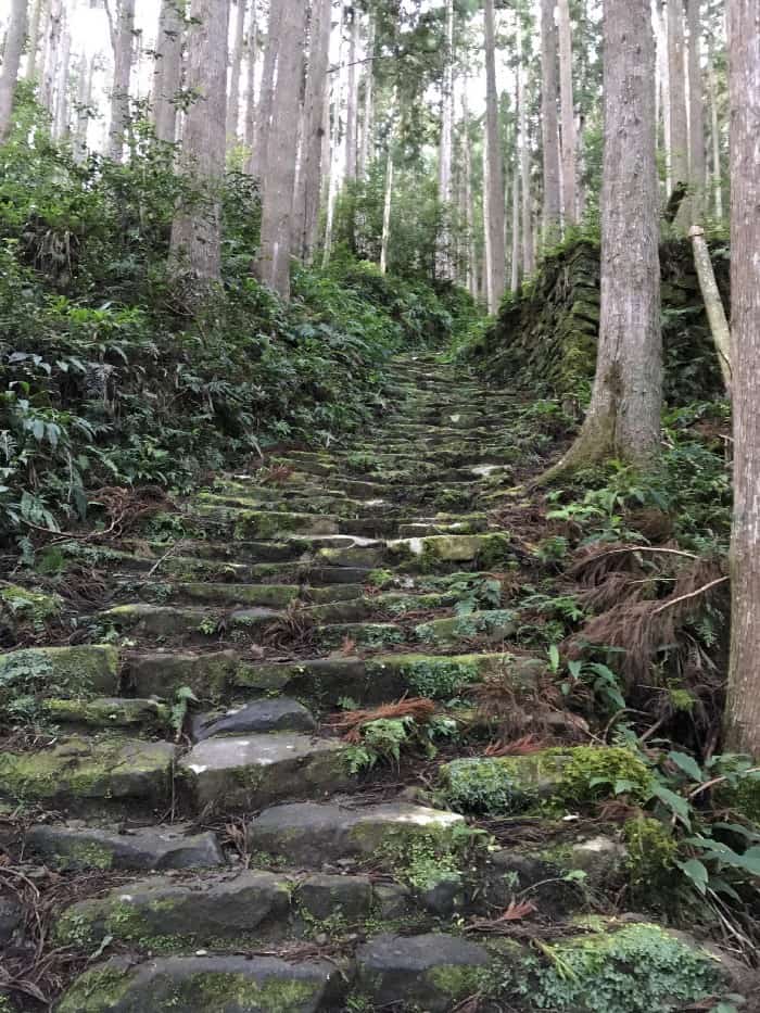 Three-legged crow is the guardian of the Kumano Kodo