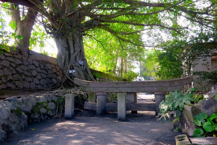 Buried torii gate on Sakurajima