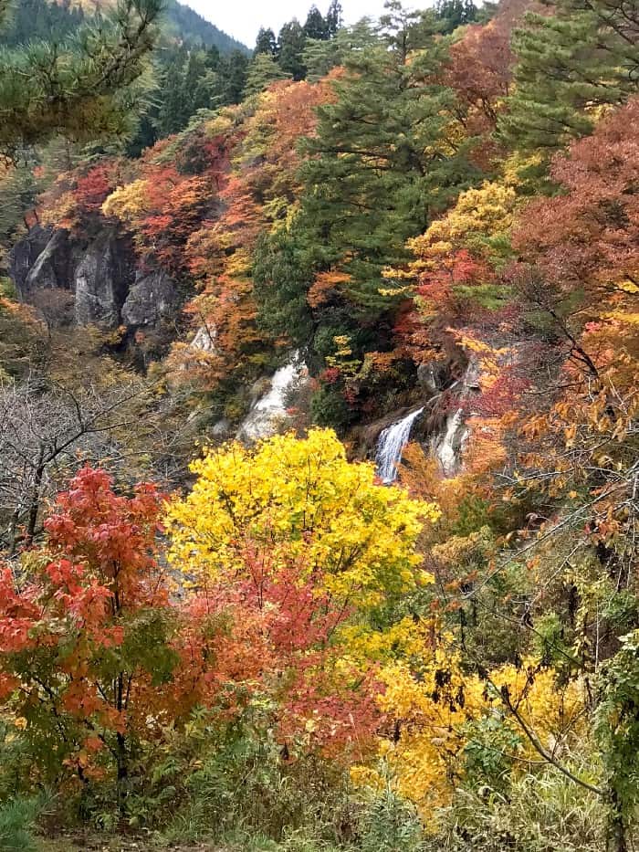 The river that runs through this valley is called the Koyo River.