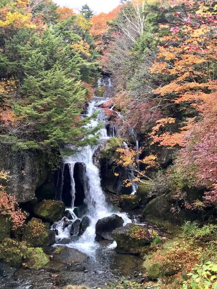 Nikko is a wonderful place to view koyo.