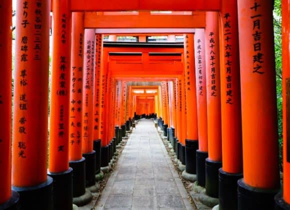 Many, closely-arranged, brilliant vermilion torii gates with names of donors painted in black, over path leading to Mount Inari.