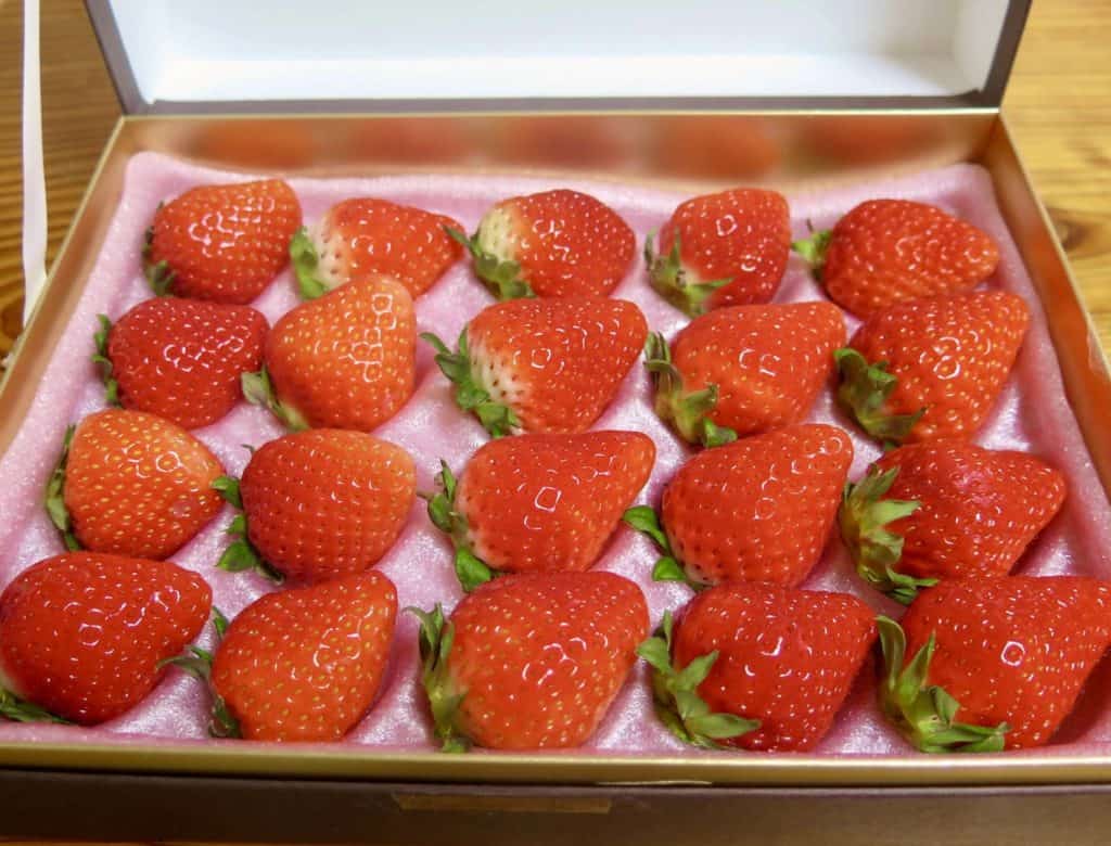 Beautiful strawberries