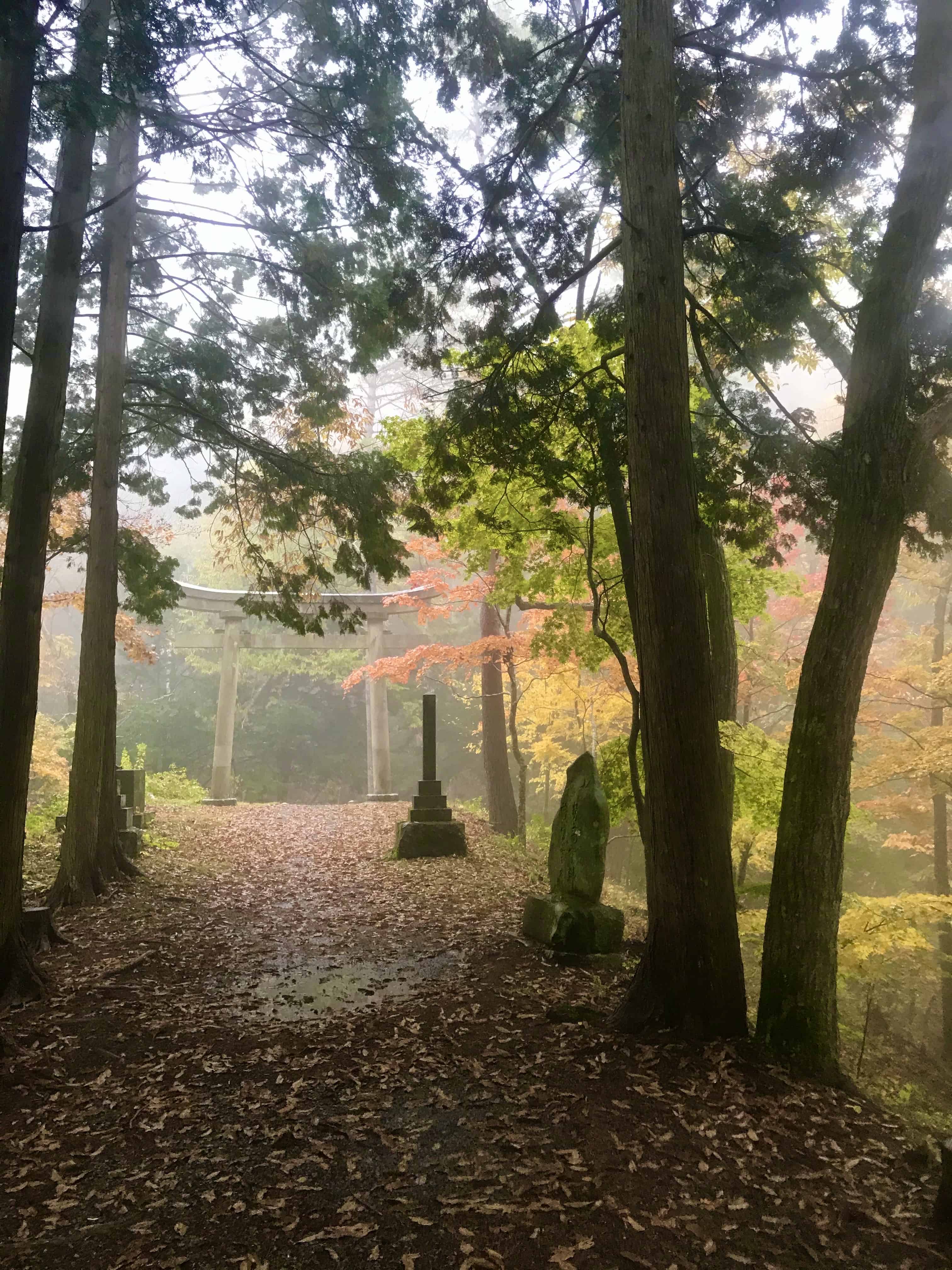 Torii gate in misty forest.