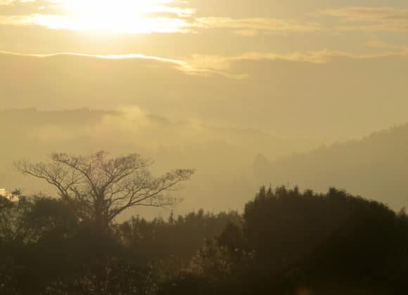 A pale, yellow ochre sky, sunlight shining through a break in the clouds above, with layers of mountains and mist. The silhouette of a bare tree and bushes are in the foreground.