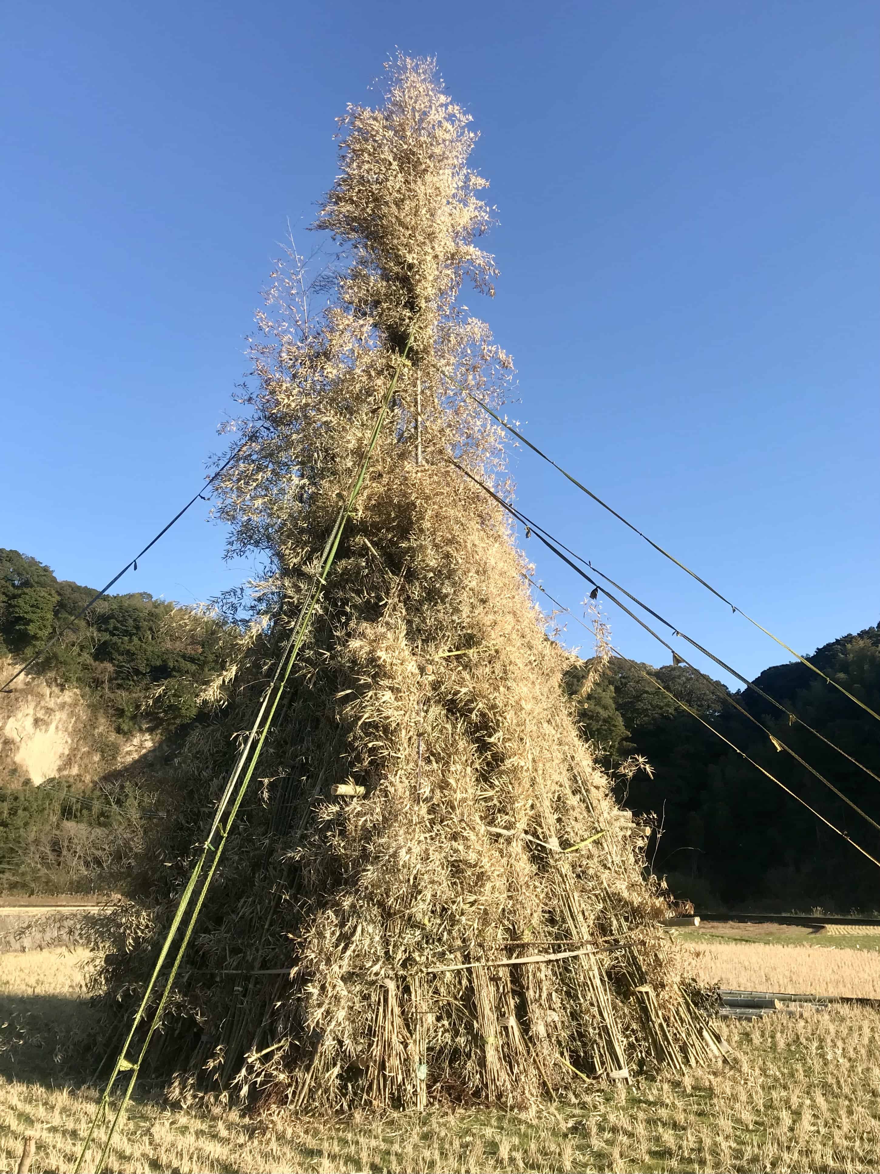 Preparing bamboo and straw for the Dondoyaki fire.