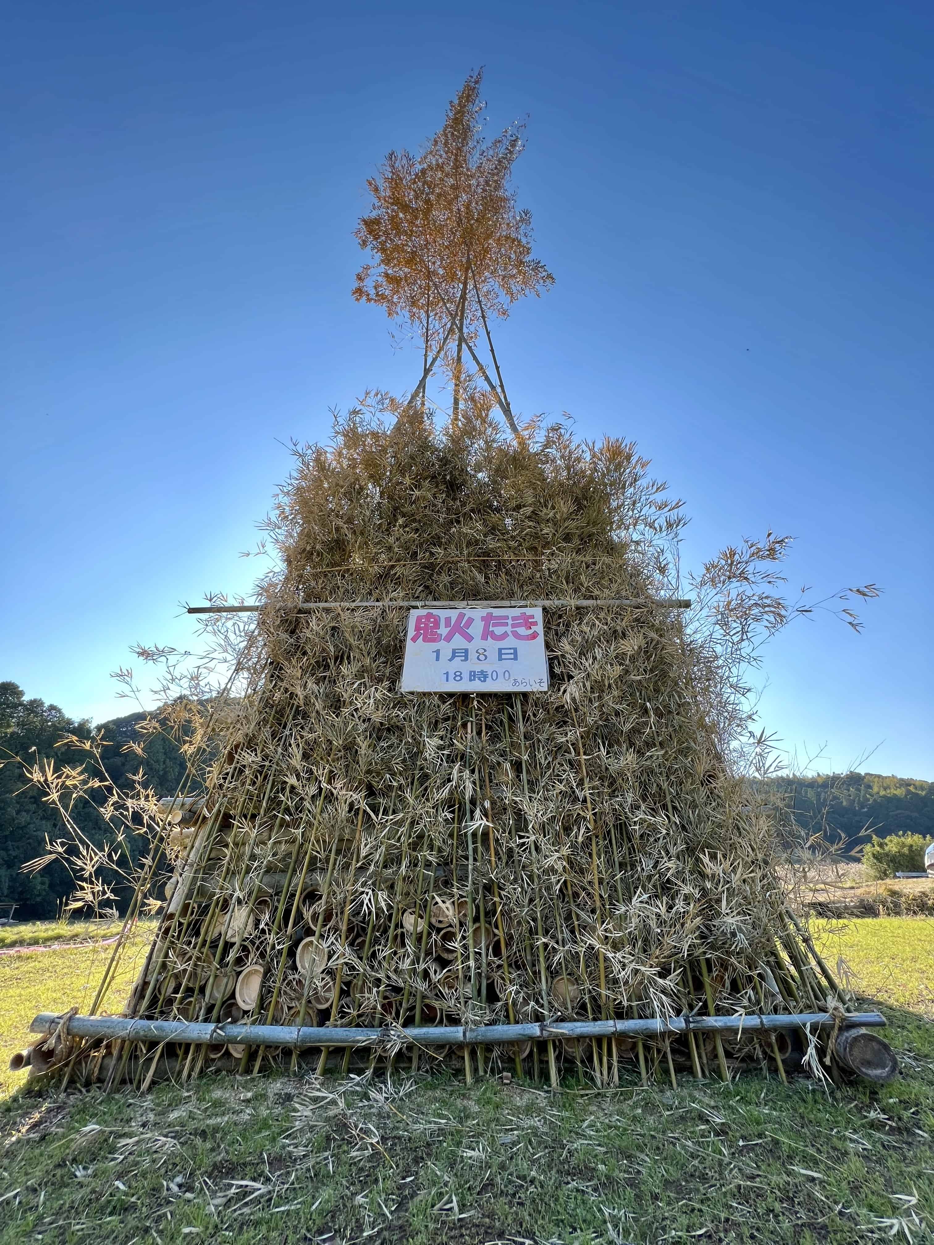 Ready for bonfire to banish demons — bamboo piled in the middle of a ricefield.