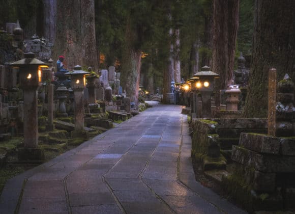 Dark pathway through ancient graveyard.
