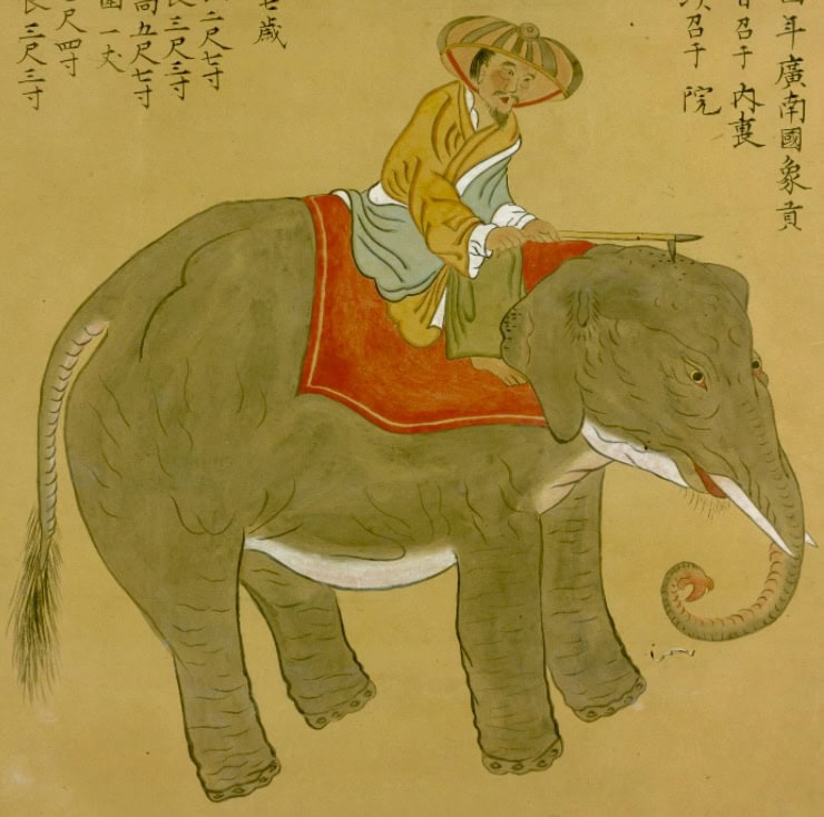 Drawing of elephant with mahout rider on red cloth saddle.