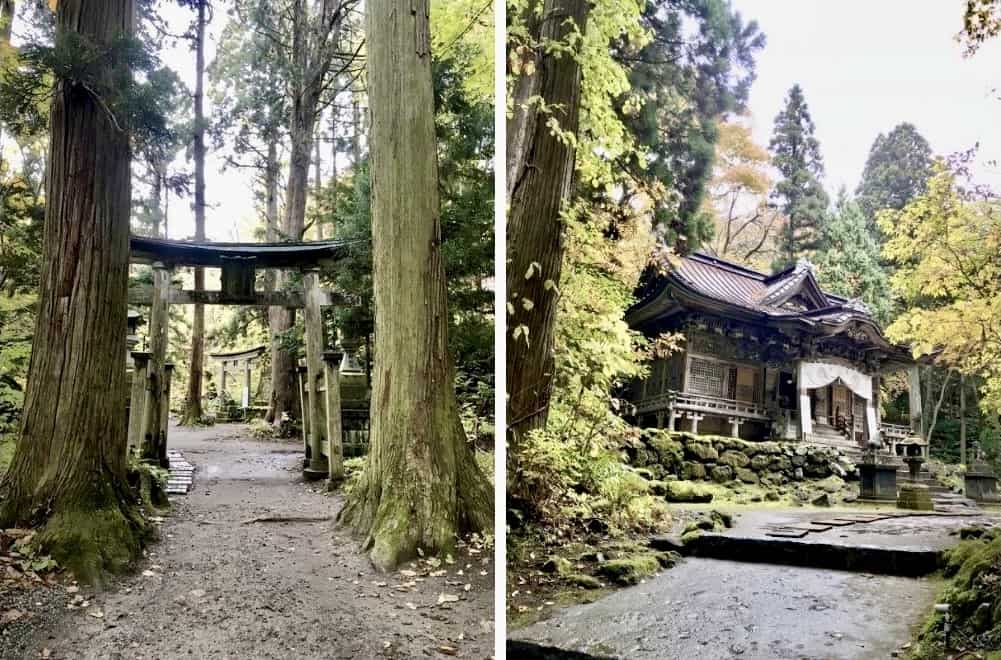 Forest path and walkway leading to Towada Shrine.