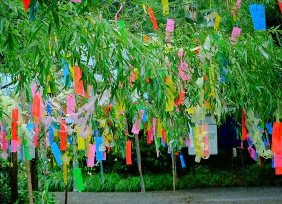 Tanabata, by Kumiko, Creative Commons