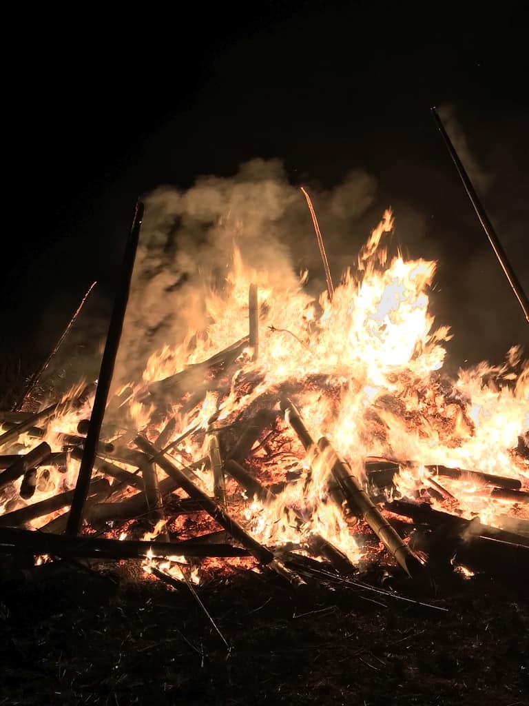 Blazing bonfire in a rice field.