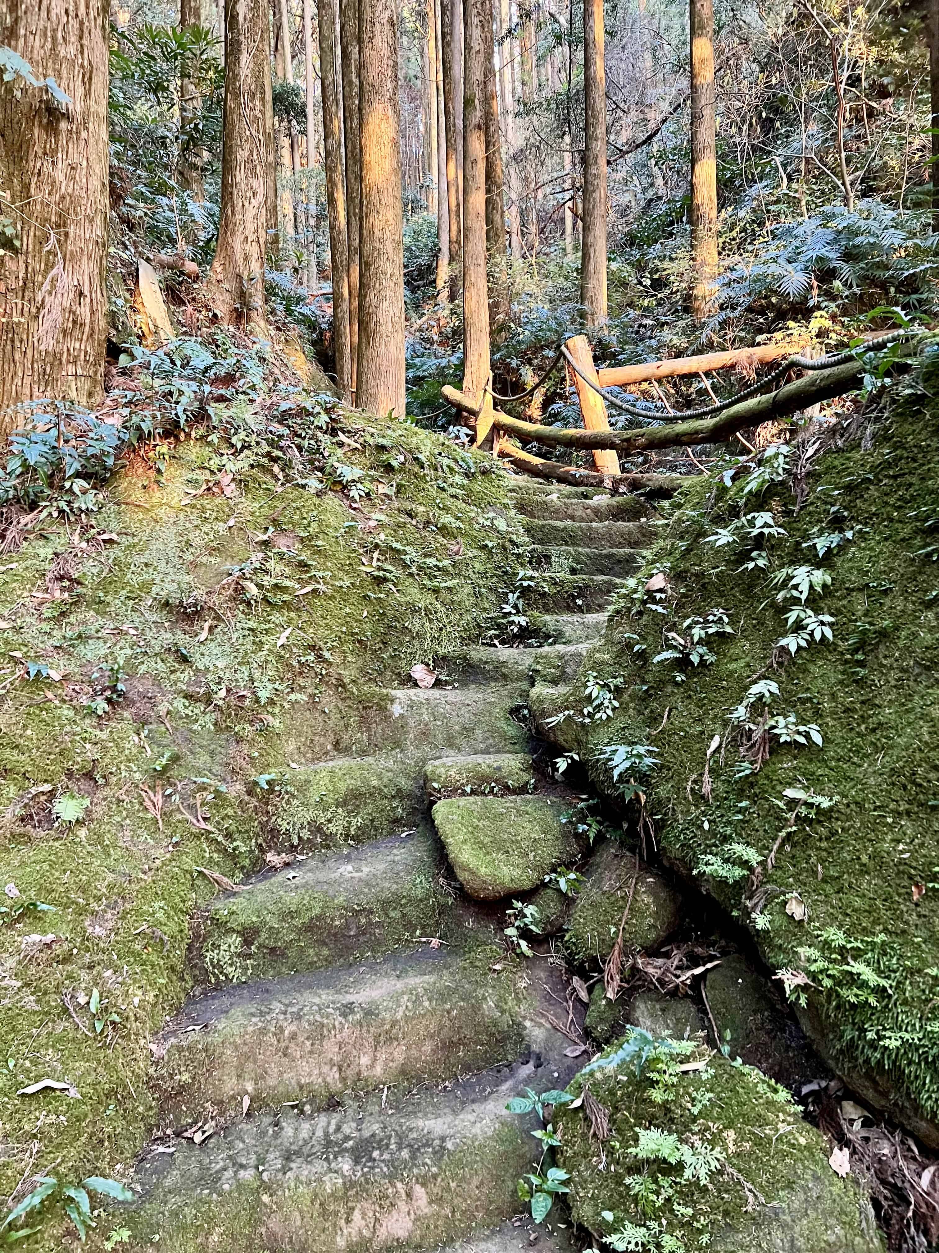Steps hewn from stone leading to a hidden Buddhist cave.