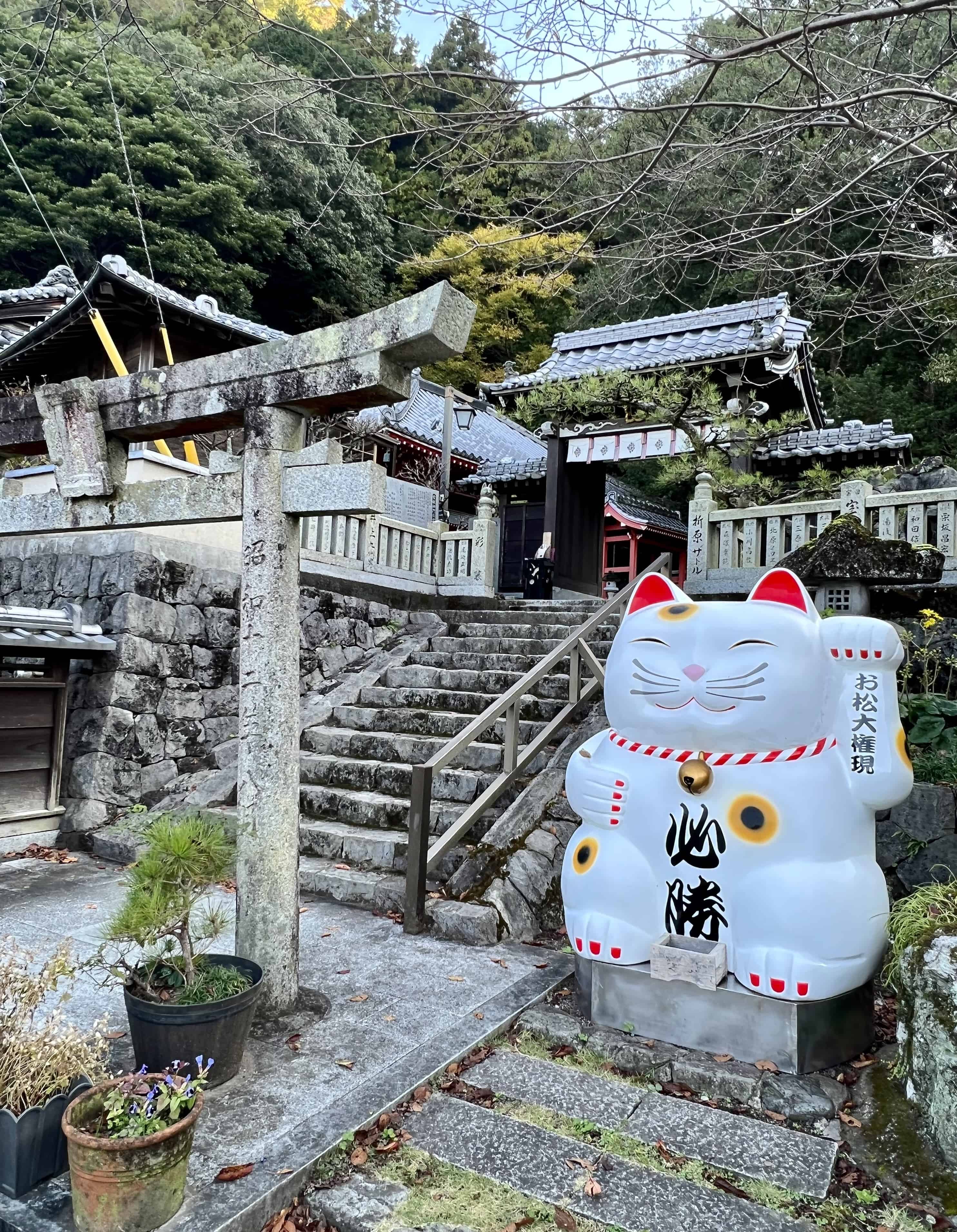 Omatsu Daigongen shrine entrance flanked by huge white Maneki Neko beckoning cat statue.