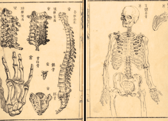 Sugita Genpaku's Kaitai Shinsho illustration of bones.