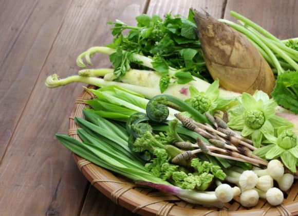 Sansai, Japanese wild vegetables.