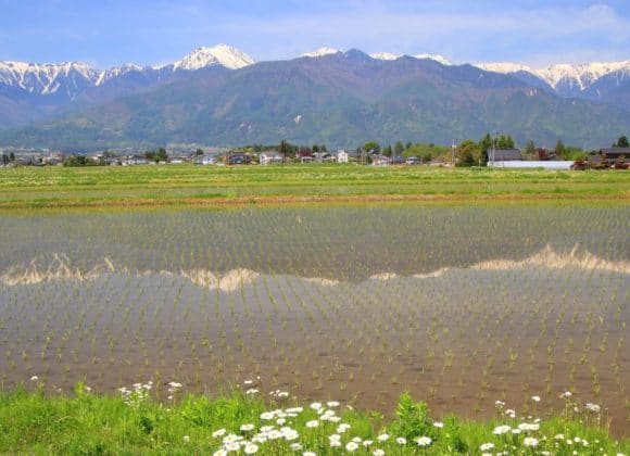 Mountains reflected in rice fields along the Salt Road.