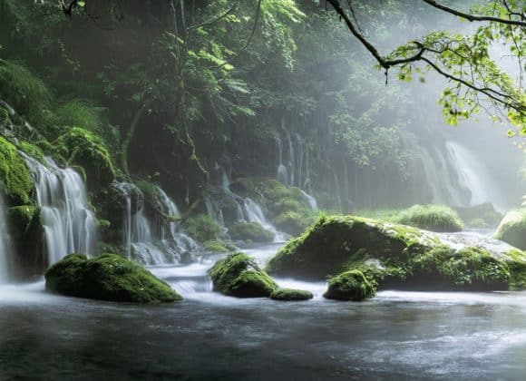Waterfalls and mist amid mossy stones and vegetation.