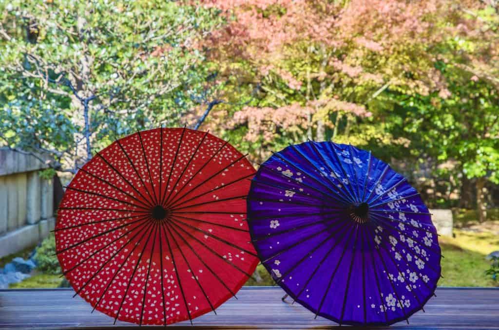 A red and a blue parasol backed by autumn leaves.
