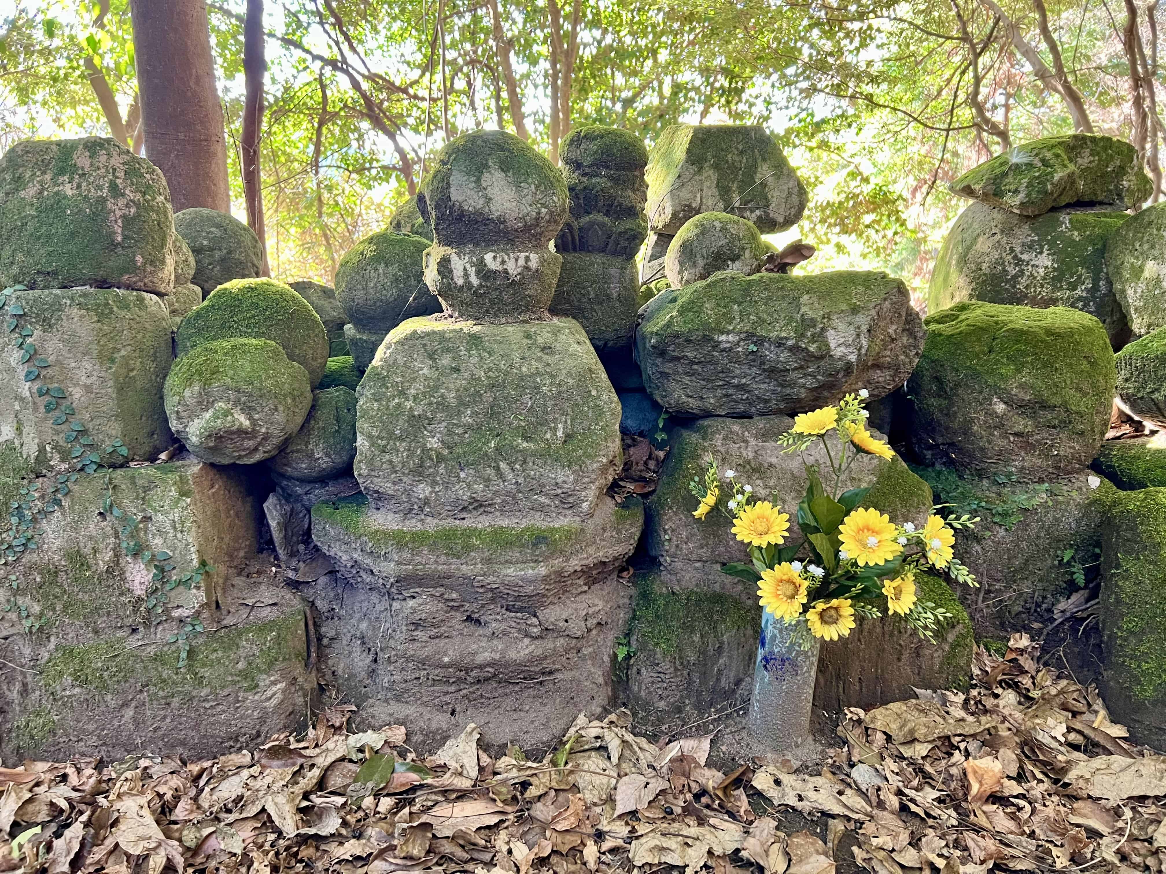Mossy Buddhist grave memorials gathered amid fallen leaves.