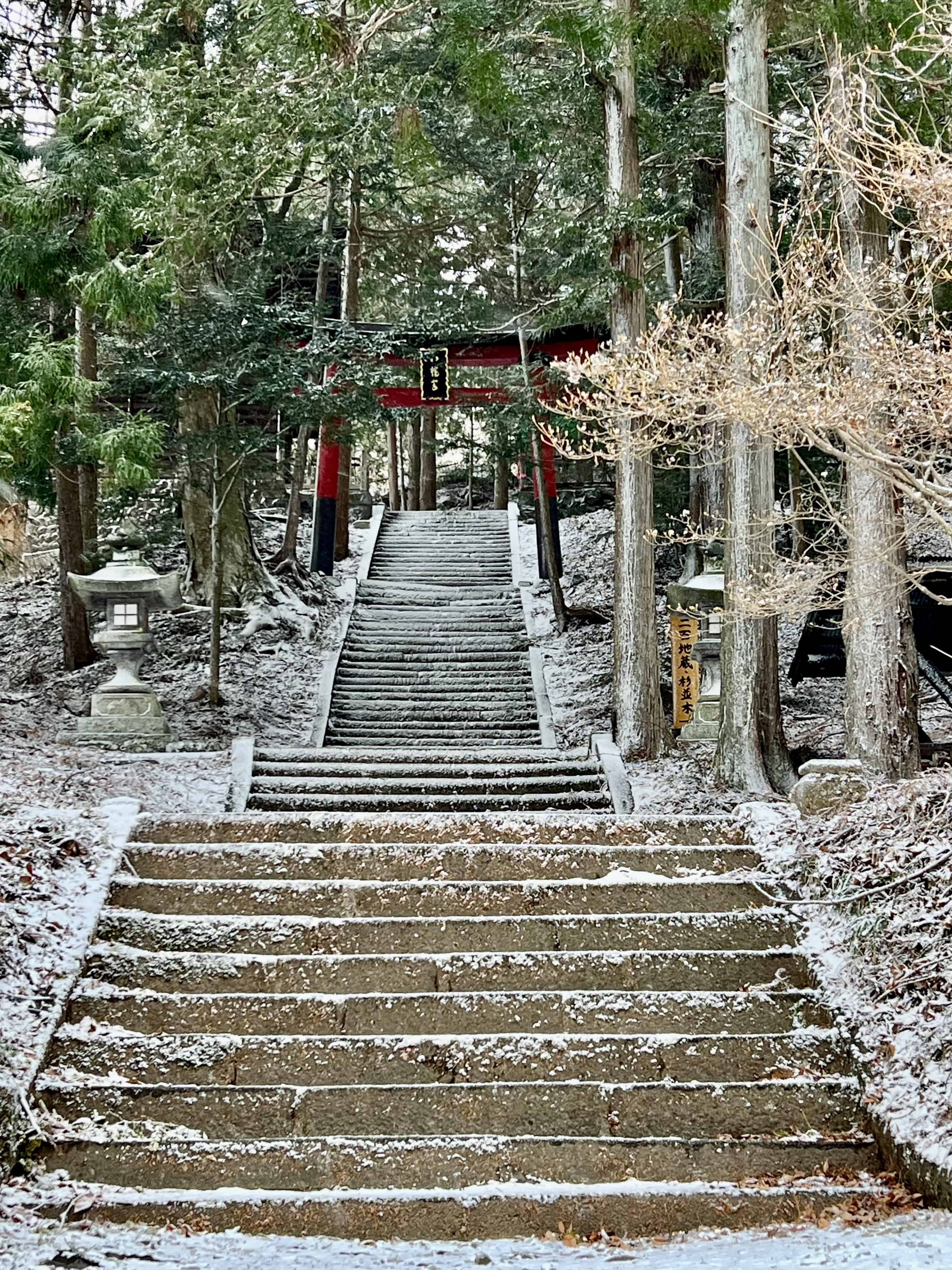 Stone stairs up to a red torii shrine gate in a forest, all covered with a fine layer of snow.