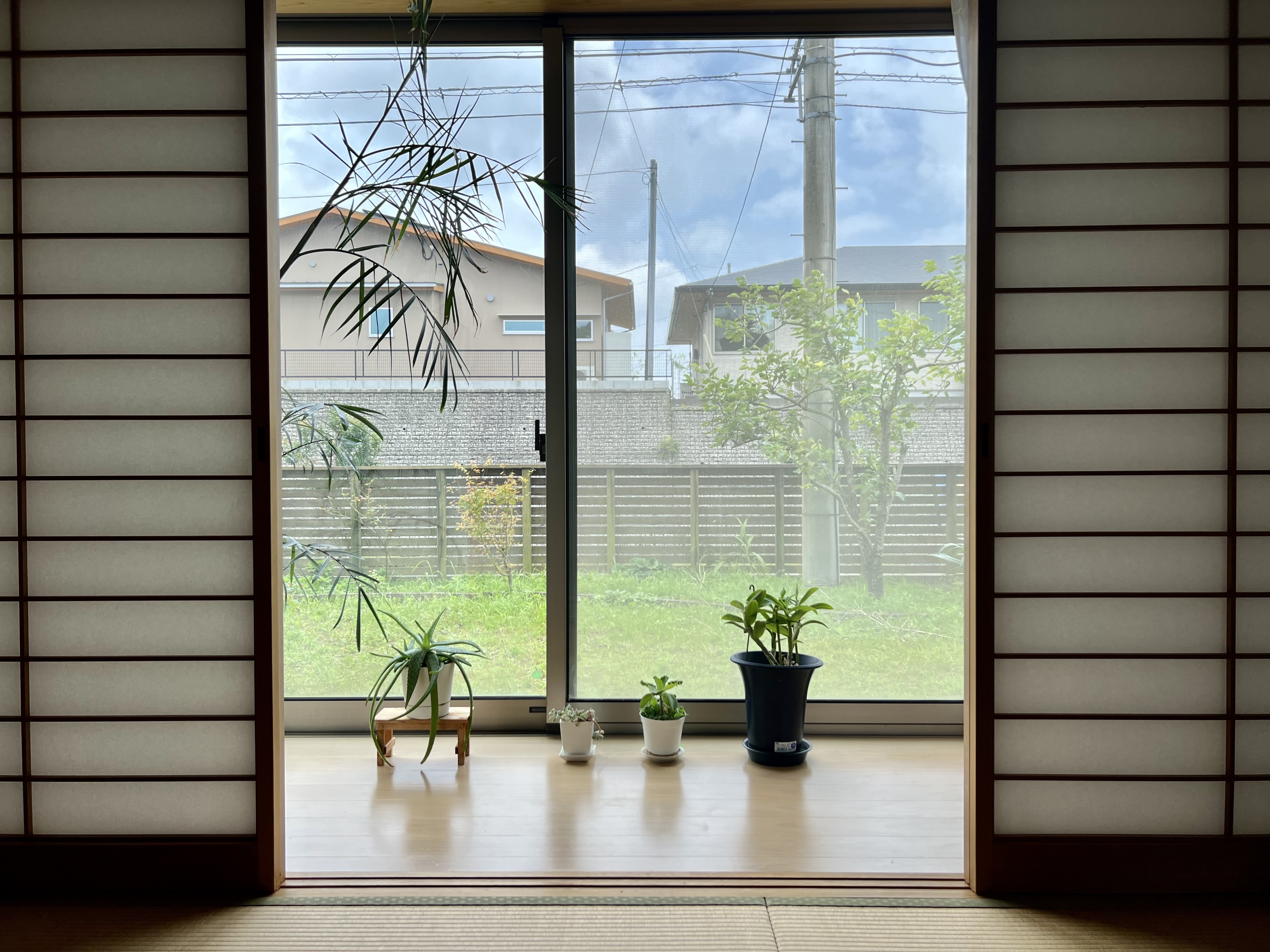 View from interior of Japanese house.