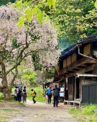 Tea house along the Kiso Road. #kisoji #cherryblossom #hiking #japan