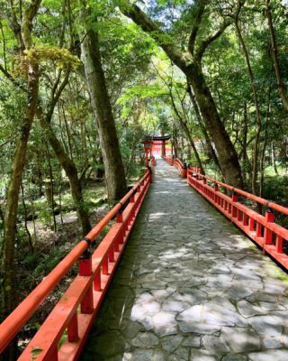Usa Shrine, established in 725, is one of Japan’s most sacred places. 

#usashrine #oita #wakenokiyomaro