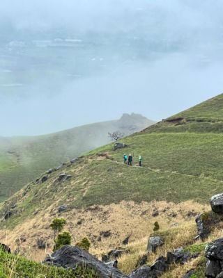 It was a rainy day for a hike on Mount Yufu, Oita. 

#yufuin #hiking #rain #ruraljapan