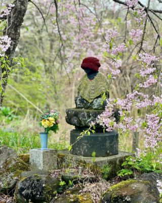 Jizo-san, bodhisattva guardian of children and travelers, Kaida Kōgen, Nagano. ❤️

#nagano #jizobodhisattva #jizo #hiking