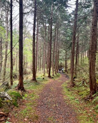 Hiking the old Hida Road, Kaida Kōgen, Nagano. 

#hiking #hida #offthebeatenpath #nagano